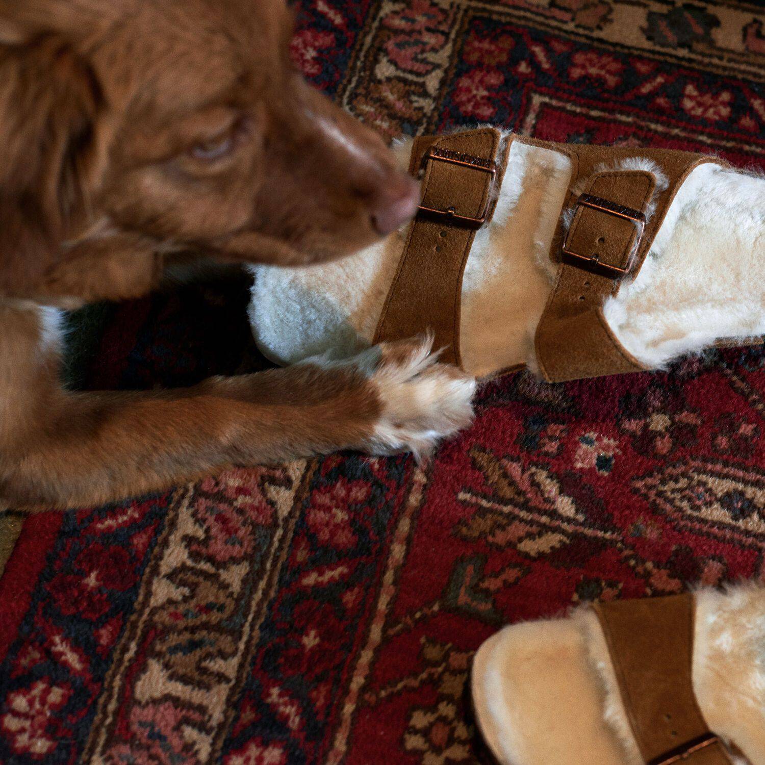 Birkenstock Arizona Fur Mink Shearling - Image 7