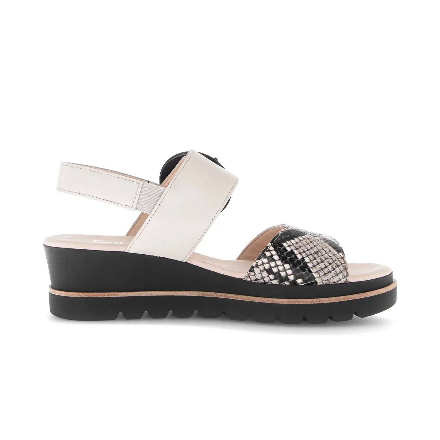 Gabor Women's 64.645.49 Muschel - Image 2