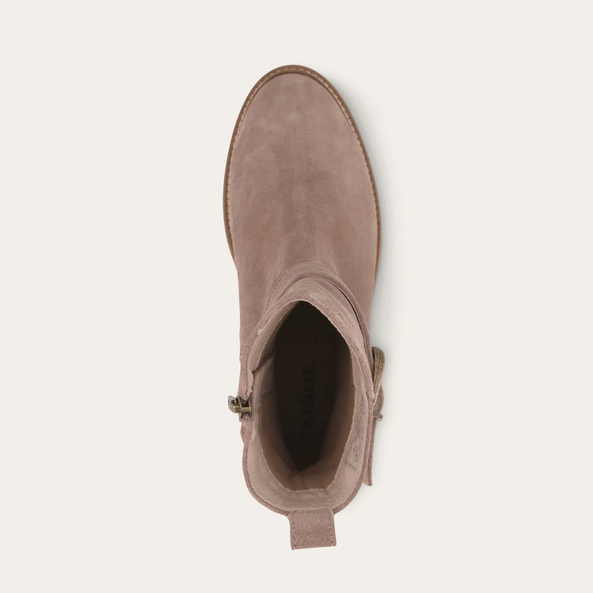 Naot Women's Chalmers Almond Suede - Image 5